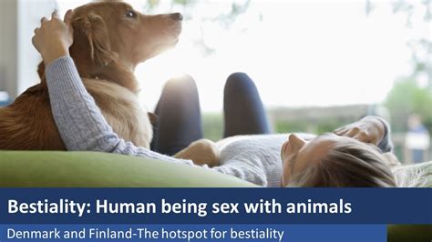 porn animal|Free Animal Porn Videos and Bestiality Clips